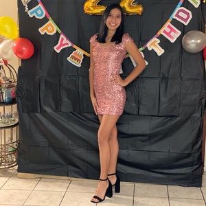 Dress the Population pink sequin dress